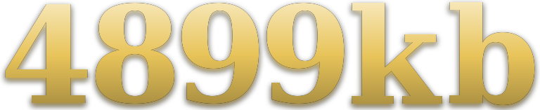 4899kb logo
